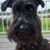 Brenda L. Masters's profile image