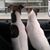 Cheryl Bartoe's profile image