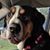 Kelly Quinn Diggs's profile image