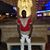 Milo TrayvonMartin Zee's profile image