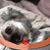 Susana Prats's profile image