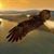 Graciano B Perez's profile image