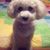 Brenda Zoeller-Oswalt's profile image