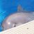 Ellen Dubinsky's profile image
