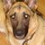 Hope Katz Hoyt's profile image