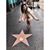 Nicole Flores-Muñoz's profile image