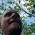 Jamie Morrison's profile image