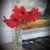 Paulette PJ Dyon's profile image