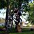 Alec Macchione's profile image