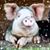 Jennifer M Sommers's profile image