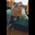 Gabriela Ramos's profile image