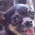 Lisa Wayne's profile image