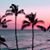 Karen Toni Lauten's profile image