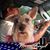 Pat Miller Steger's profile image
