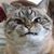 Kimmie Muabsun's profile image