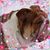 Lynette Spaley's profile image