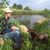 Peter Kooke's profile image