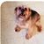 Louise Weiler Griffin's profile image