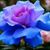 Lora Gris's profile image
