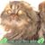 Margy Sapper's profile image