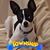 Ann Ebben's profile image