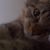 Cindy Murray's profile image
