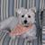 Anne Stiller's profile image