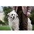 Bonny Hepp's profile image