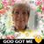 Janice Confer's profile image