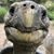 Lori Hanes's profile image