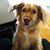 Sharon Ackley's profile image