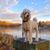 Valerie Fredericks's profile image