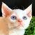 Becky Patterson's profile image
