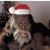 Milton Taylor's profile image