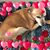 Cheryle Derman's profile image
