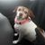 Maria Elizabeth Patrick's profile image