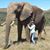 Sarah Graff's profile image