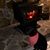 Bryan Edelen's profile image