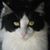 Wende Jackson's profile image