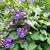 Kathy Pelletier's profile image