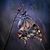 Robin Rossbach's profile image