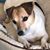 Tricia Kemp's profile image