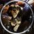 C Dj-Precise Jones's profile image