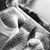 Tiffany Andras-Myers's profile image