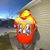 Koby A. Torzillo's profile image