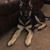 Dawn Gehris's profile image