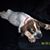 Stephanie Huff's profile image
