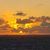 Tracy L Bartley-Johnson's profile image