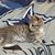Marilu Brooks's profile image