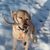 Todd Bashaw's profile image